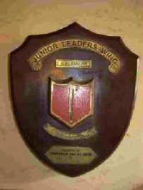 Commando Wing