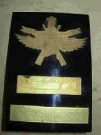 Marine Commando
