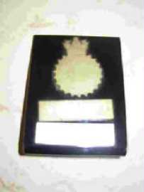 Marine Commando